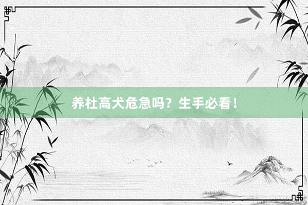 养杜高犬危急吗？生手必看！